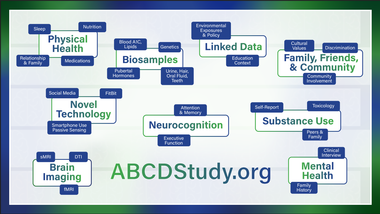 High level overview of domains in the ABCD Study